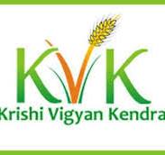 KVK